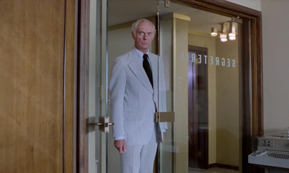 IL GATTO 猫の画像