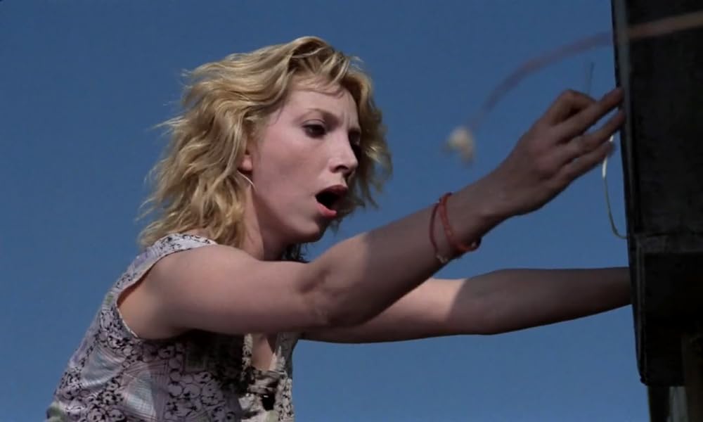 IL GATTO 猫の画像