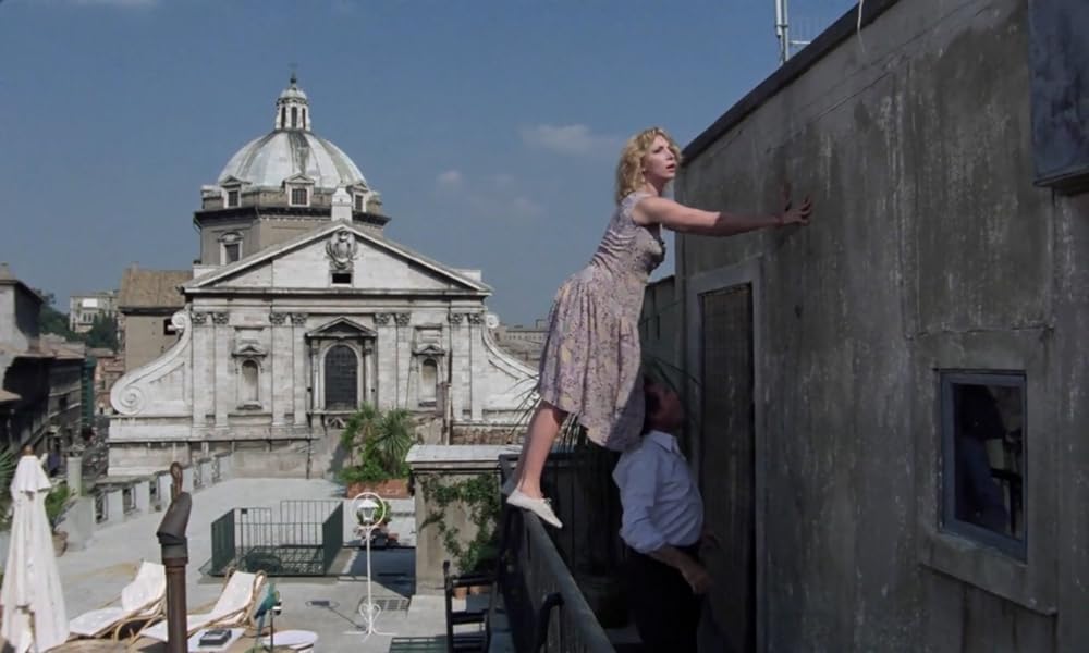 IL GATTO 猫の画像