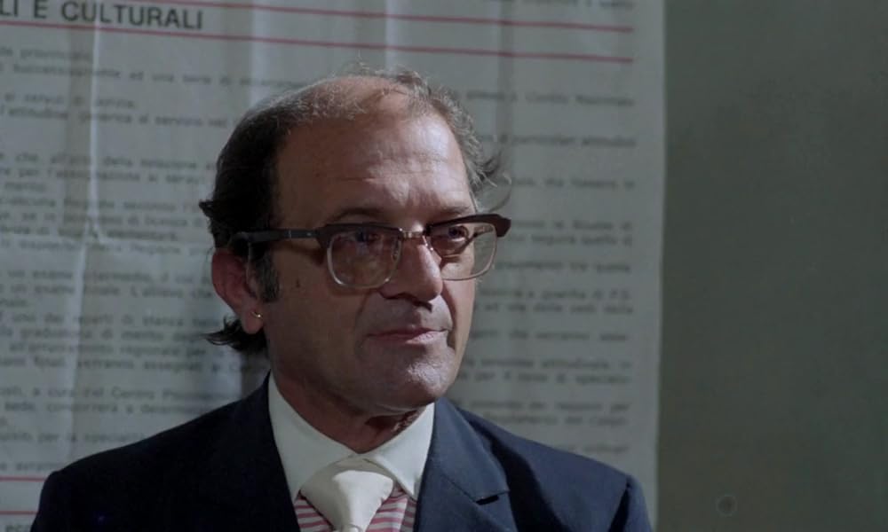 IL GATTO 猫の画像