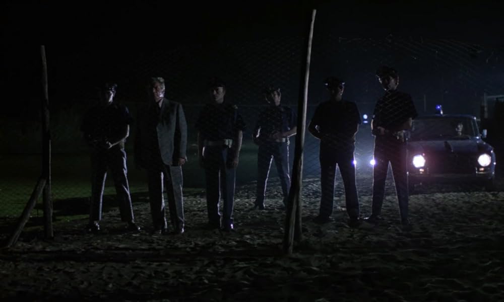 IL GATTO 猫の画像