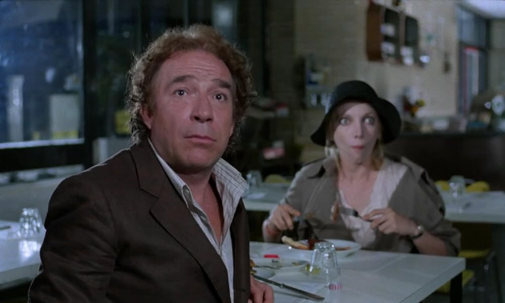 IL GATTO 猫の画像