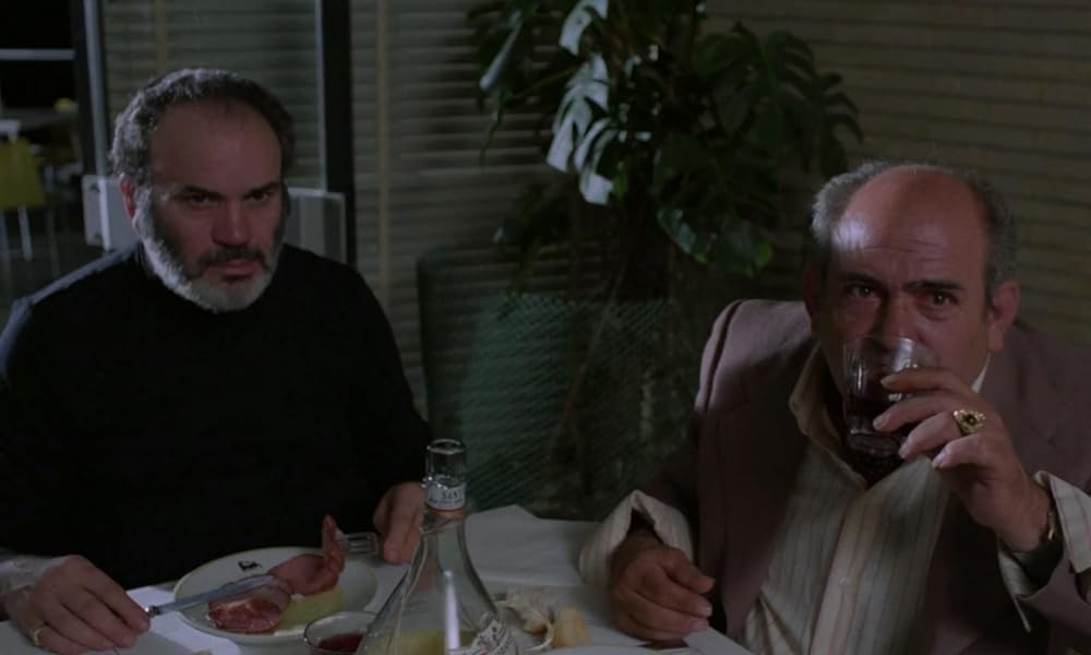 IL GATTO 猫の画像