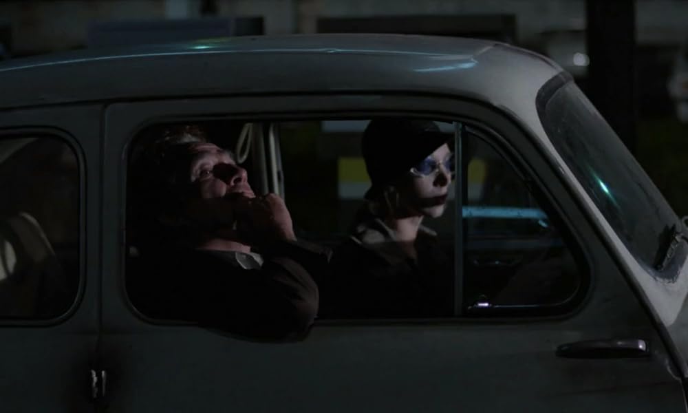 IL GATTO 猫の画像