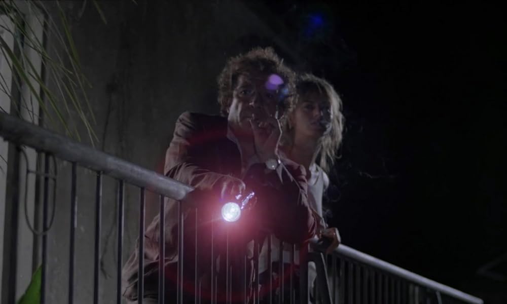 IL GATTO 猫の画像