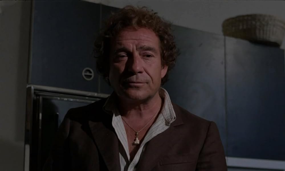 IL GATTO 猫の画像