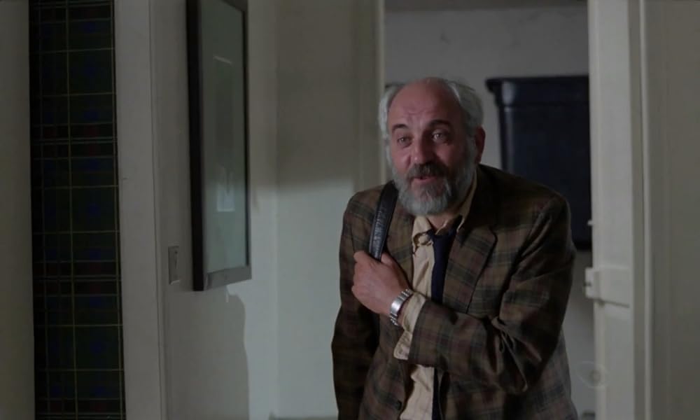 IL GATTO 猫の画像