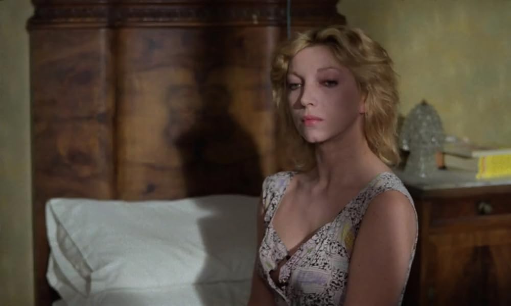 IL GATTO 猫の画像