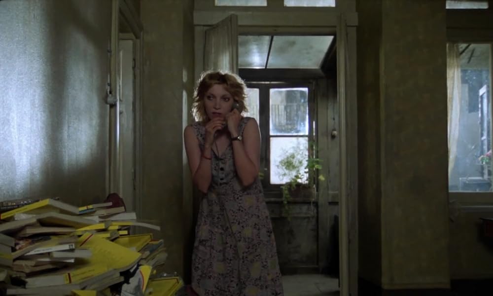 IL GATTO 猫の画像