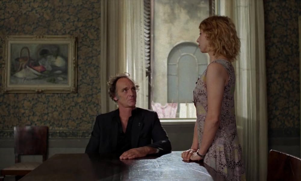 IL GATTO 猫の画像