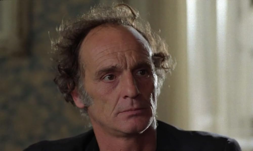 IL GATTO 猫の画像