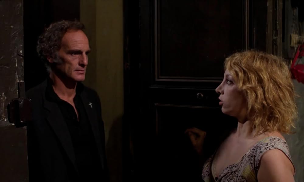 IL GATTO 猫の画像