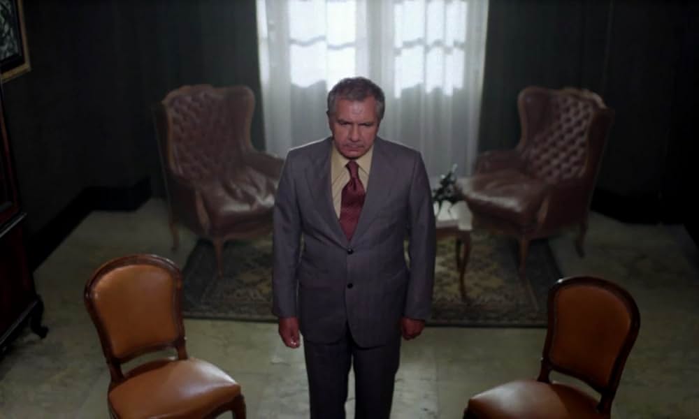 IL GATTO 猫の画像