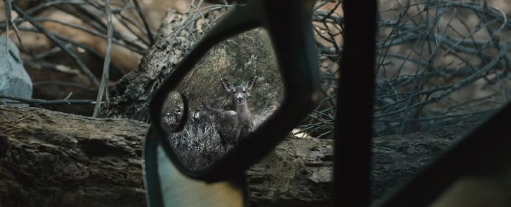 サバイバル・ドライブの画像