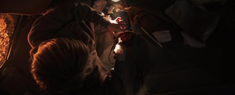 サバイバル・ドライブの画像