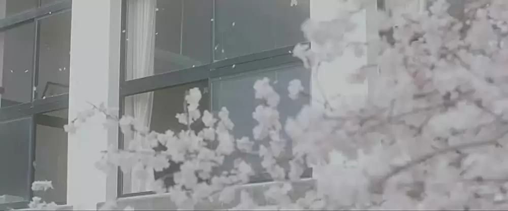 君の膵臓をたべたいの画像