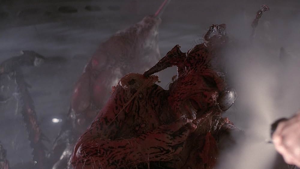 レプリコーン4の画像