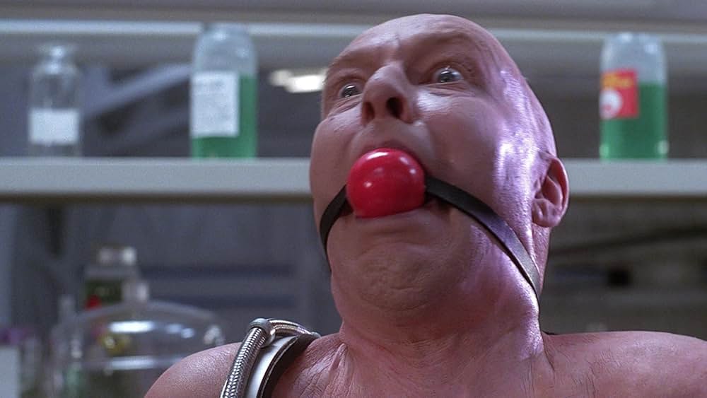 レプリコーン4の画像