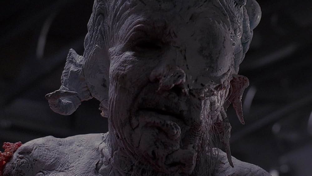 レプリコーン4の画像