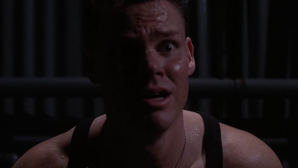 レプリコーン4の画像