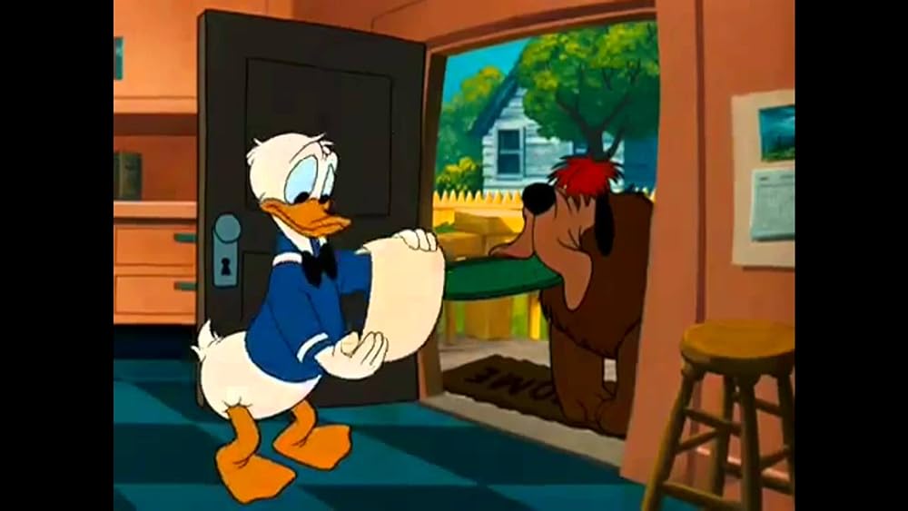 ドナルドの決闘の画像