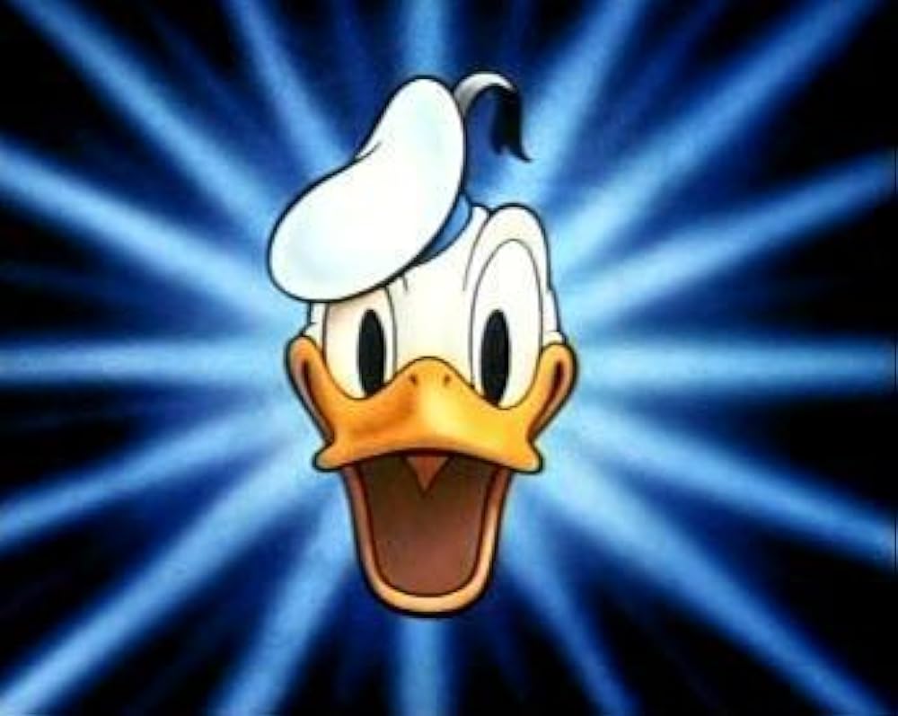 ドナルドの決闘の画像