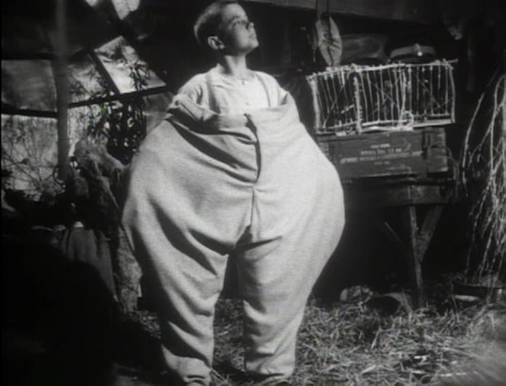 アークエンジェルの画像