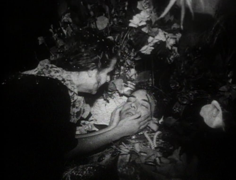 アークエンジェルの画像