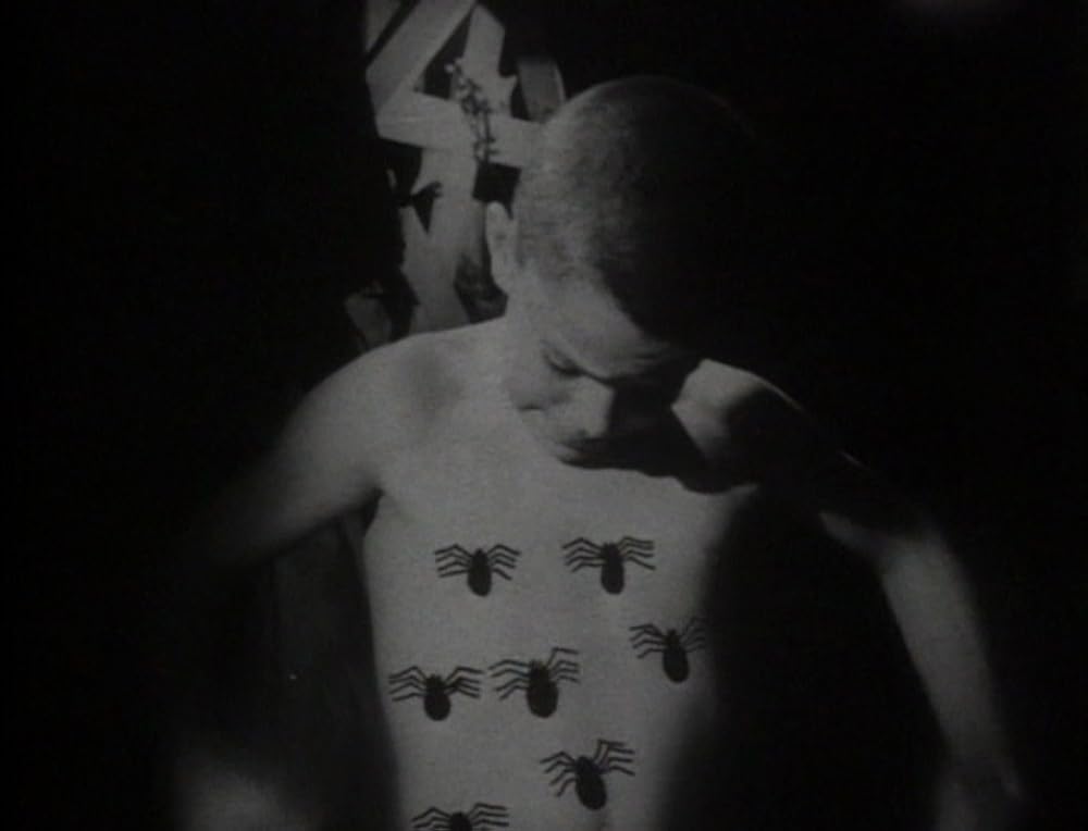 アークエンジェルの画像