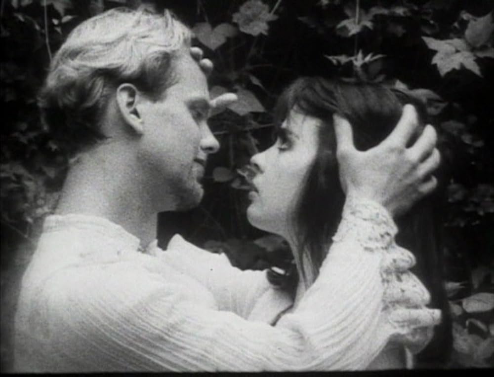 アークエンジェルの画像