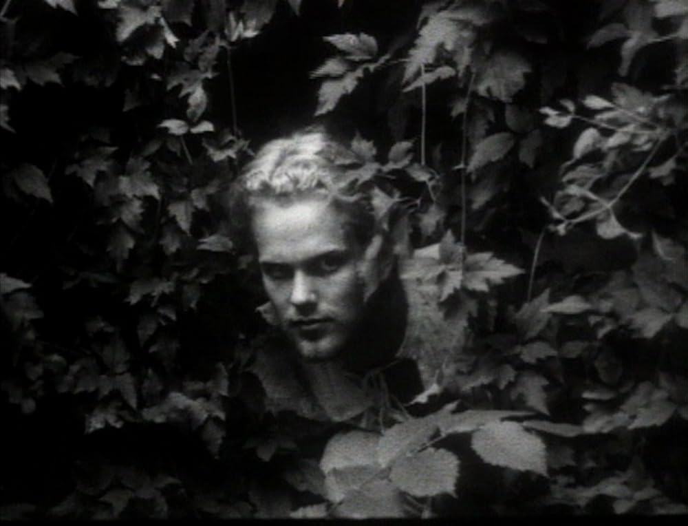 アークエンジェルの画像