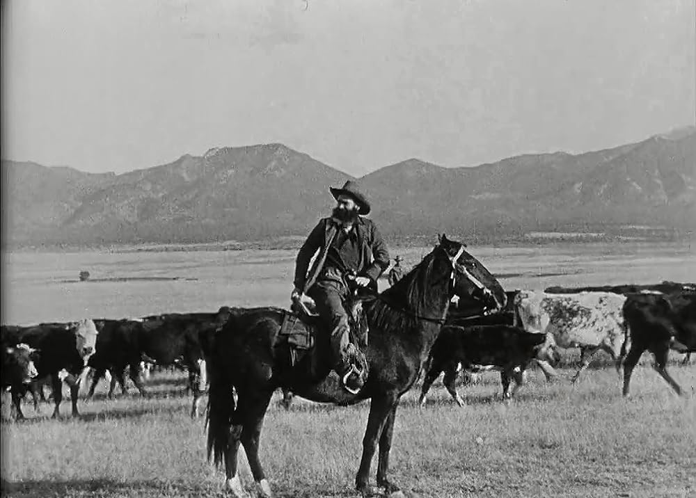 アイアン・ホースの画像
