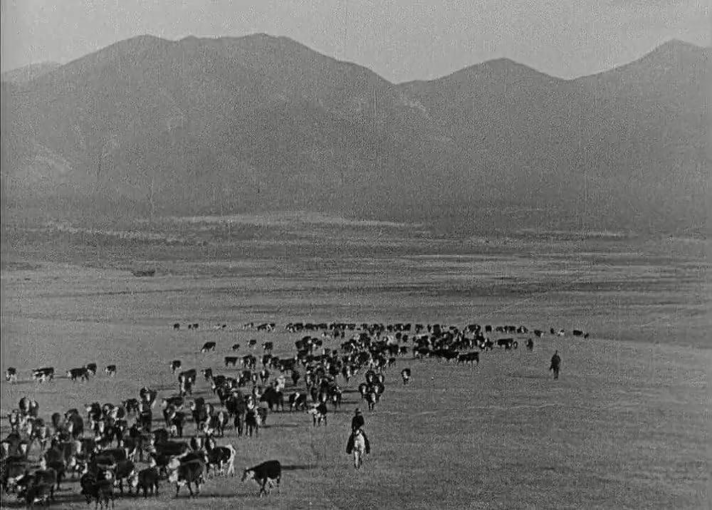 アイアン・ホースの画像