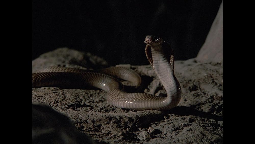 エイリアン・フロム・ディープの画像