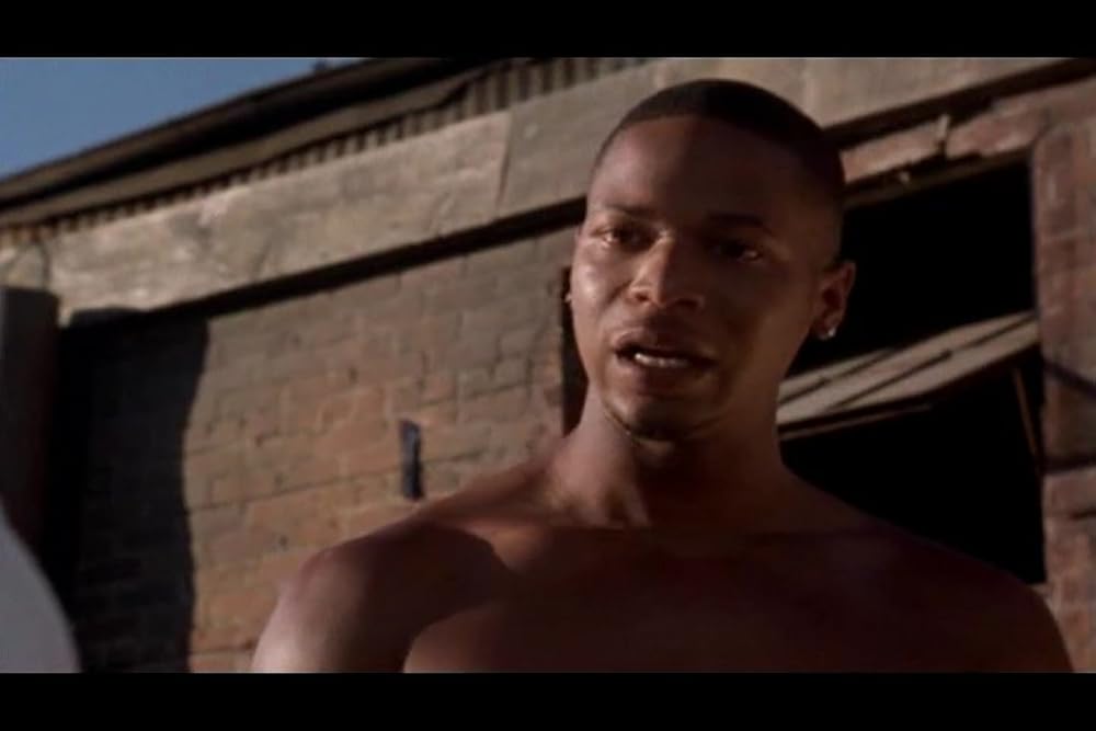 レプリコーン 5の画像