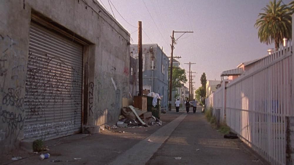 レプリコーン 5の画像