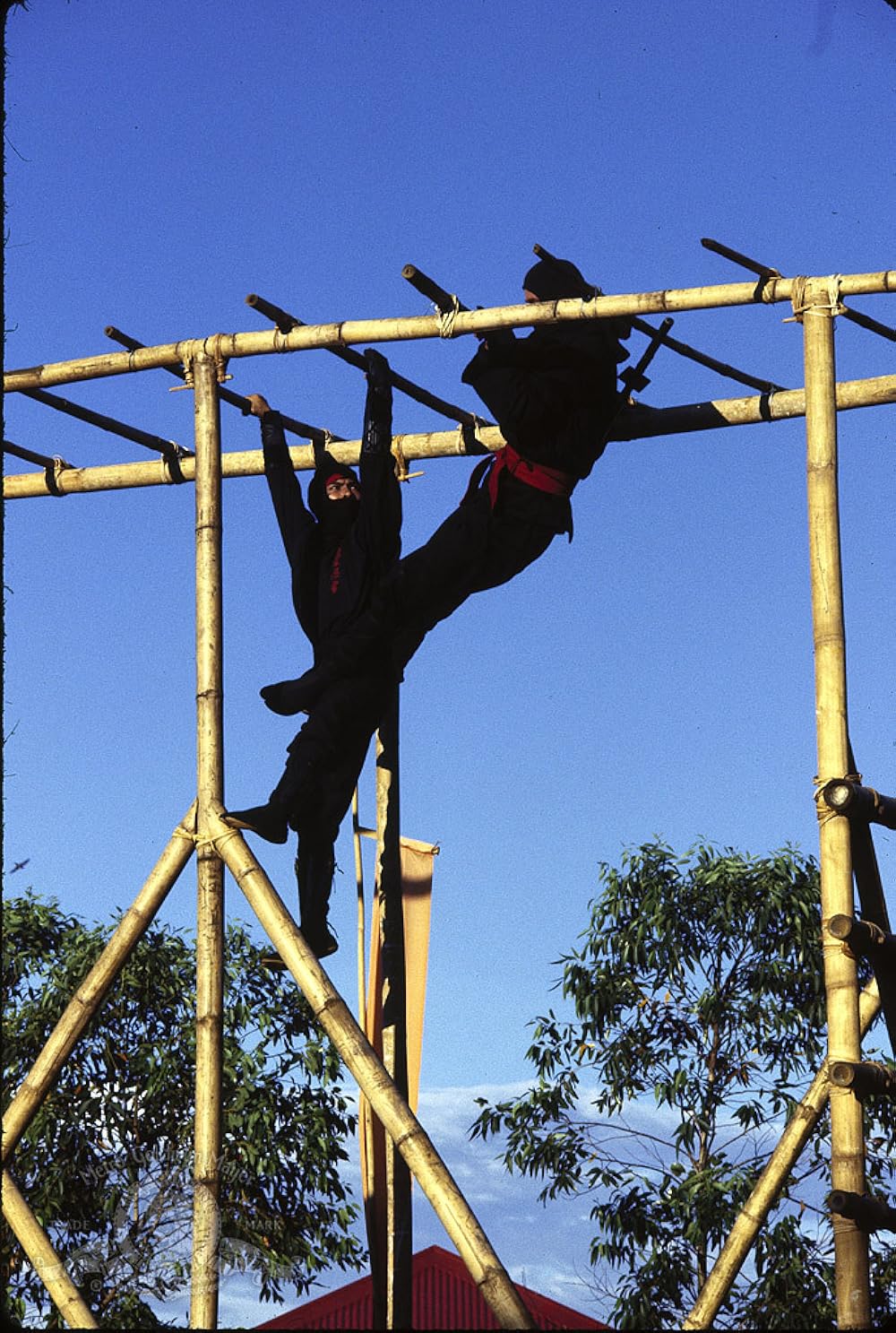 アメリカン忍者の画像
