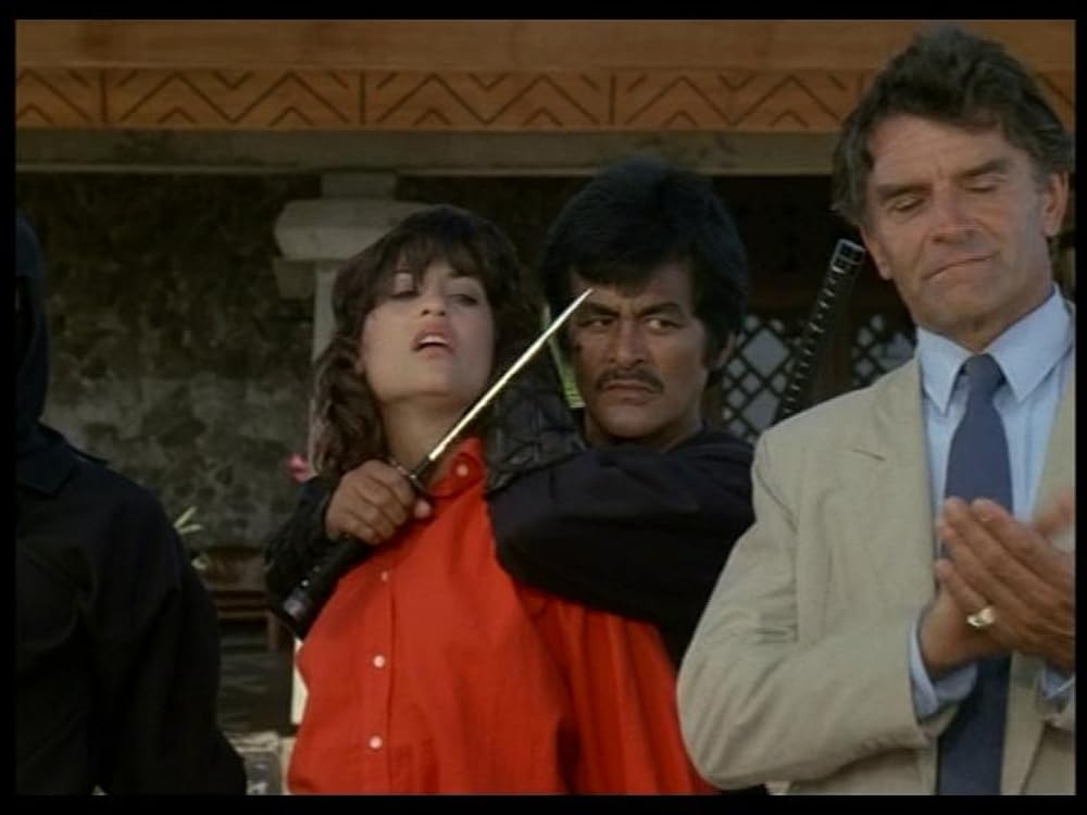 アメリカン忍者の画像