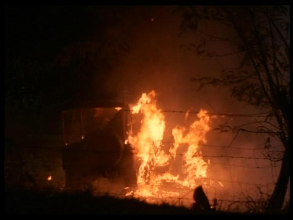 アメリカン忍者の画像