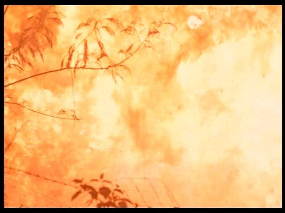 アメリカン忍者の画像