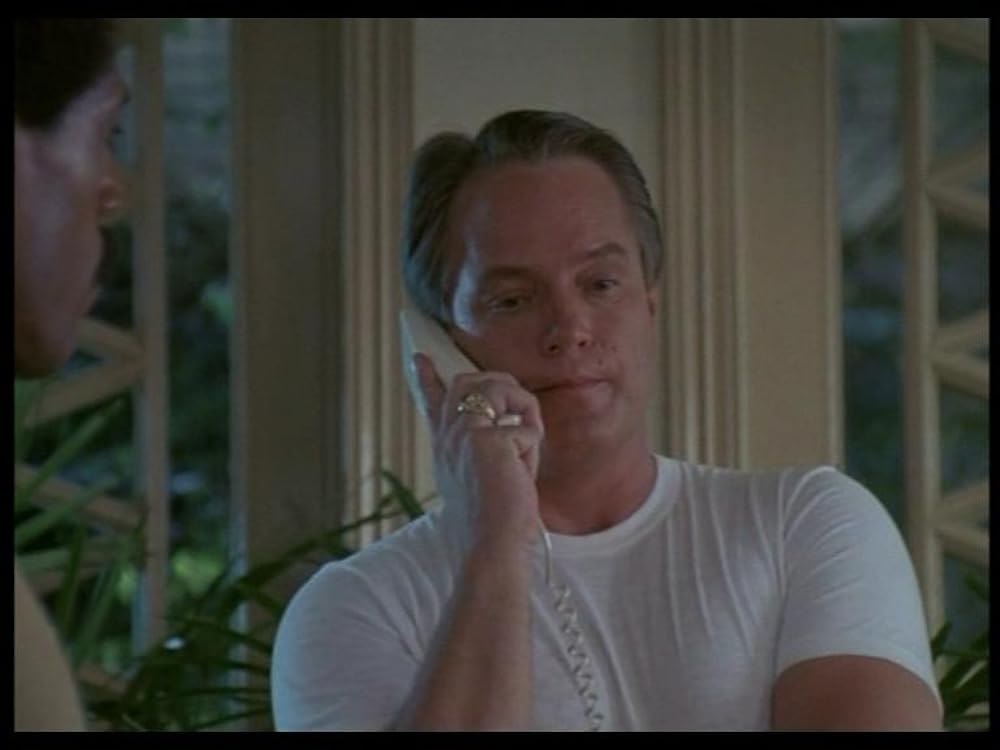 アメリカン忍者の画像