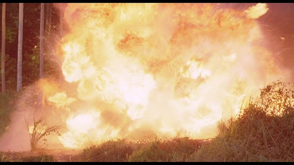 アメリカン忍者の画像