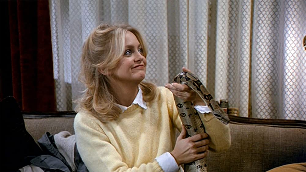 「ファール・プレイ」ゴールディ・ホーンの画像