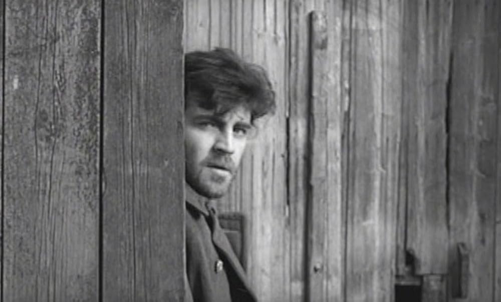 汚れなき瞳の画像