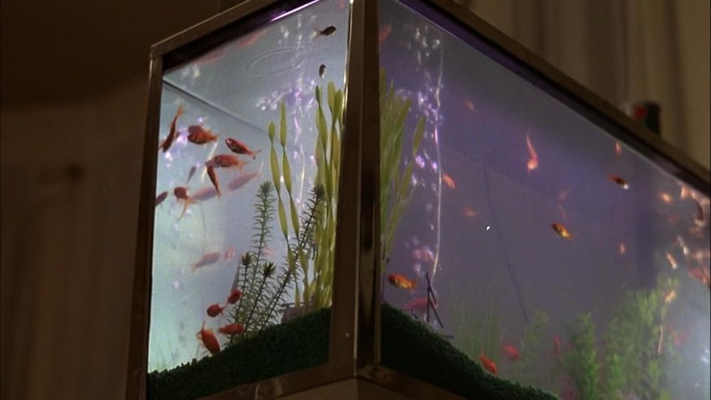 血ぬられた花嫁の画像