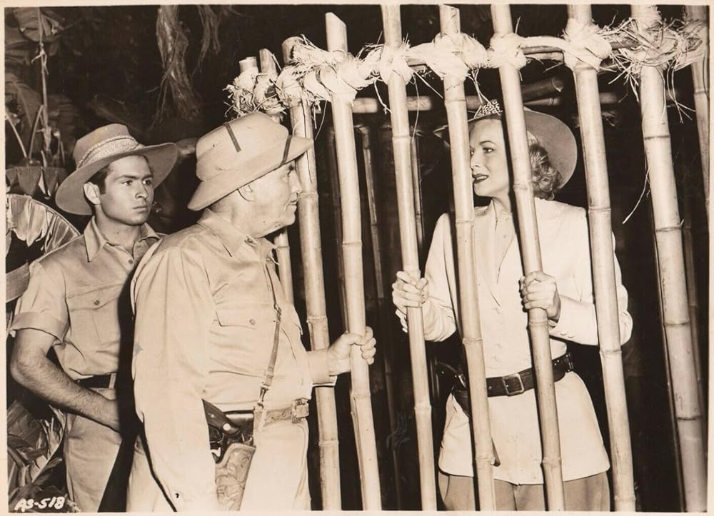 凸凹猛獣狩の画像