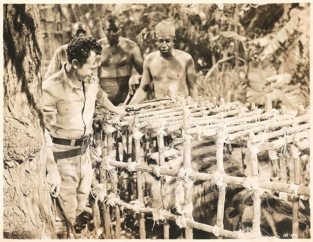 凸凹猛獣狩の画像