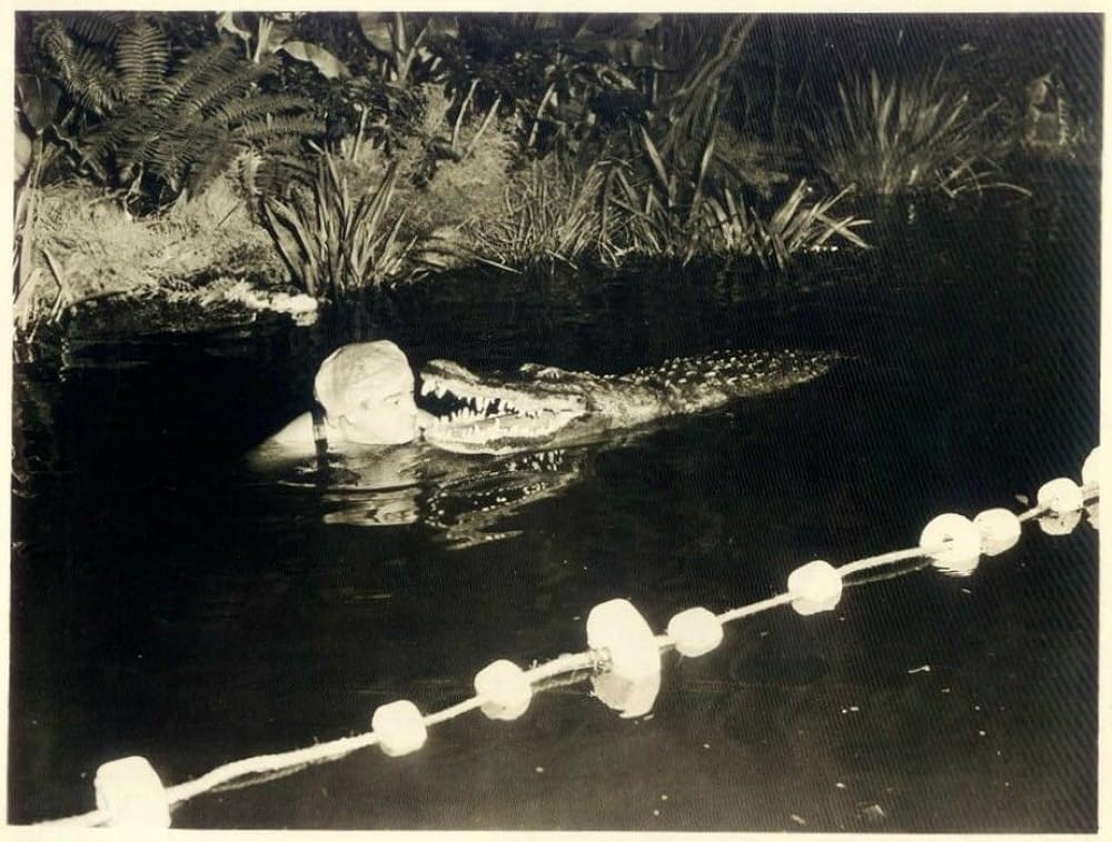 凸凹猛獣狩の画像