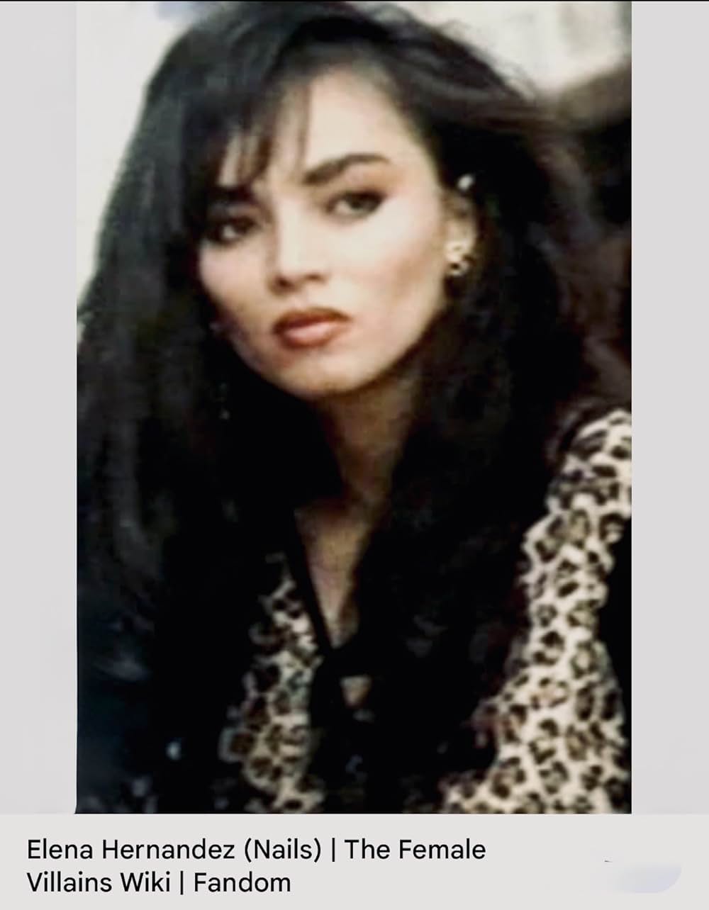 ネイルズの画像