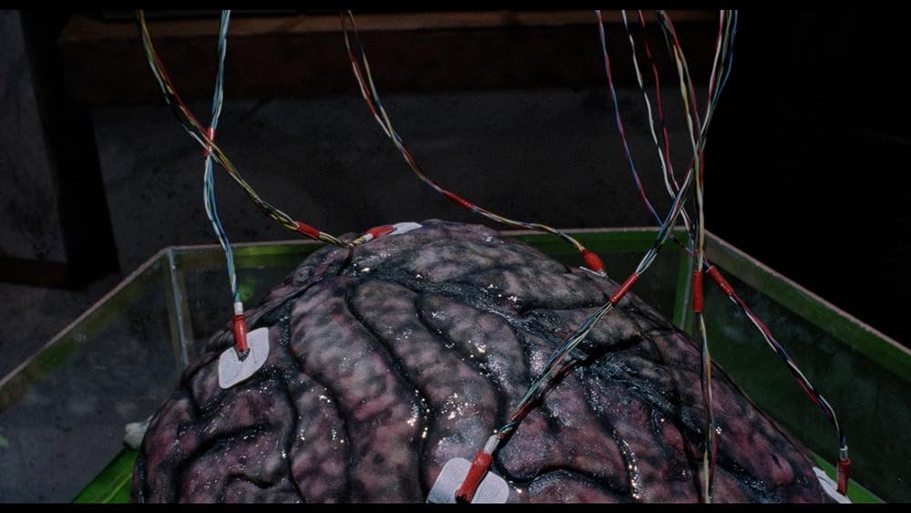 ブレイン／鮮血の全国ネットの画像